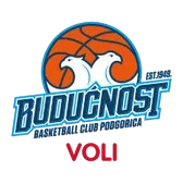 BUDUCNOST VOLI PODGORICA logo