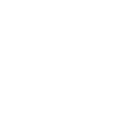 SLUC NANCY logo
