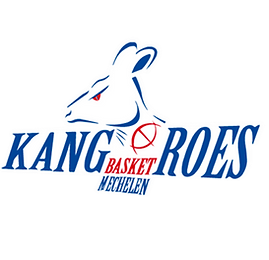 Kangoeroes Basket Mechelen DSE logo