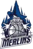 HAKRO Merlins Crailsheim logo