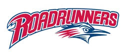 METRO STATE logo
