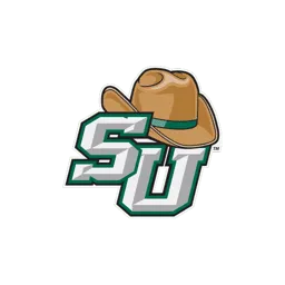 STETSON logo