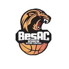 BESANCON logo