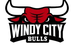 WINDY CITY BULLS logo