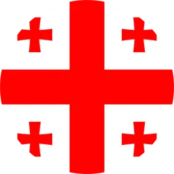 GEORGIA NT logo