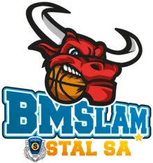 STAL OSTROW logo
