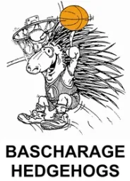 BASCHARAGE logo
