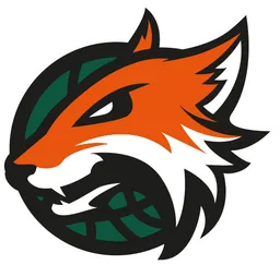PLYMOUTH logo
