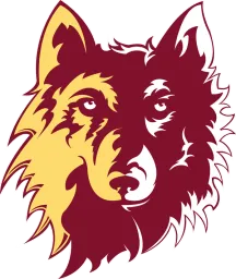 NORTHERN STATE logo