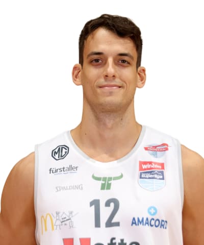 Krstic, Nemanja photo
