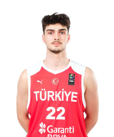 Mestoglu, Yigit photo