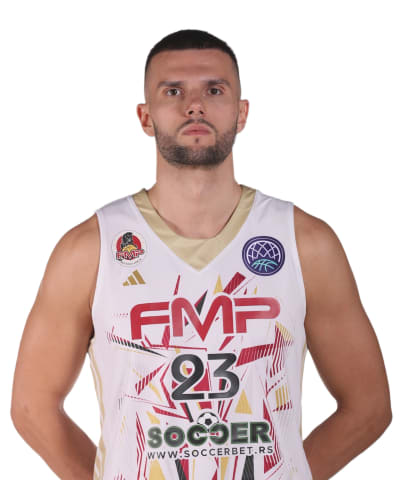 Stojanovic, Vojislav photo