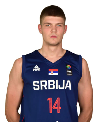Stosic, Pavle photo