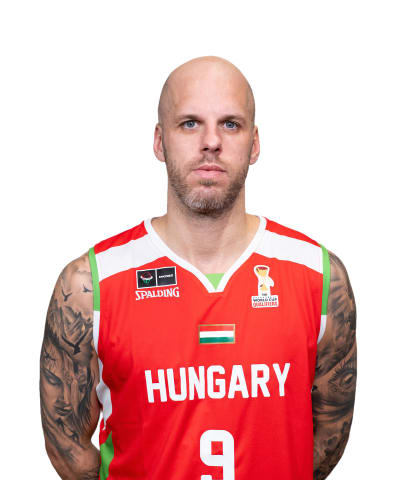 Vojvoda, David photo