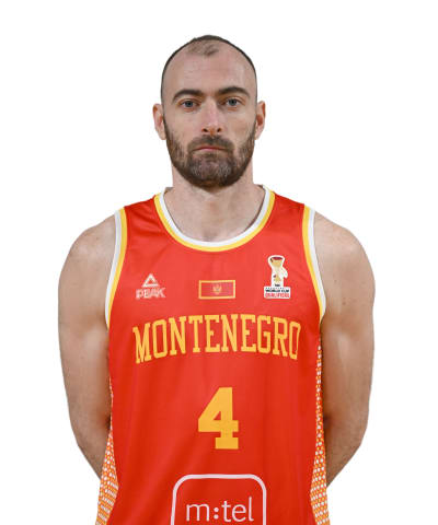 Pavlicevic, Nikola photo