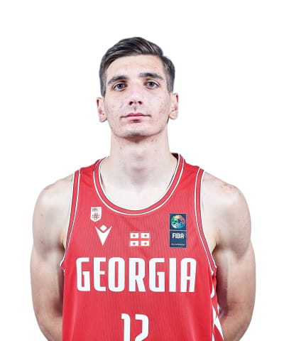 Kozashvili, Nikoloz photo