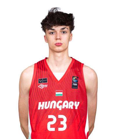 Domjan, Ervin photo