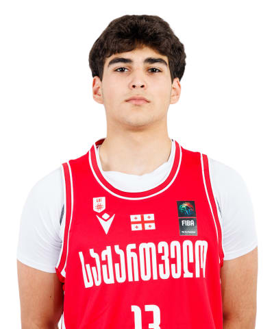 Janelidze, Nikolozi photo