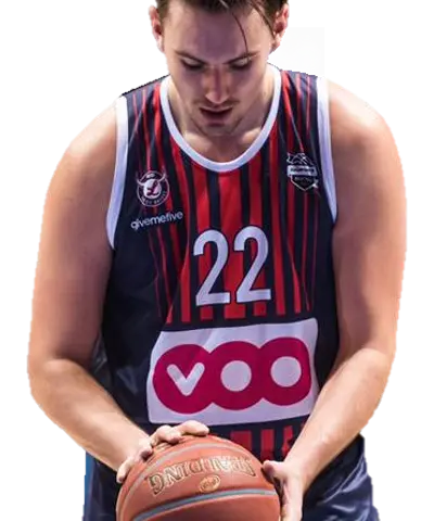 Skrelja, Mirza photo
